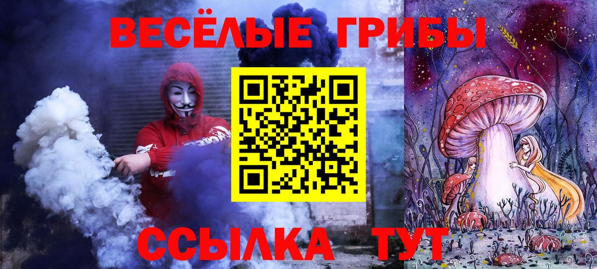 Электросталь  Псилоцибиновые грибы мицелий  Вход с VPN  продажа наркотиков  Галлюциногенные грибы Psilocybine cubensis 