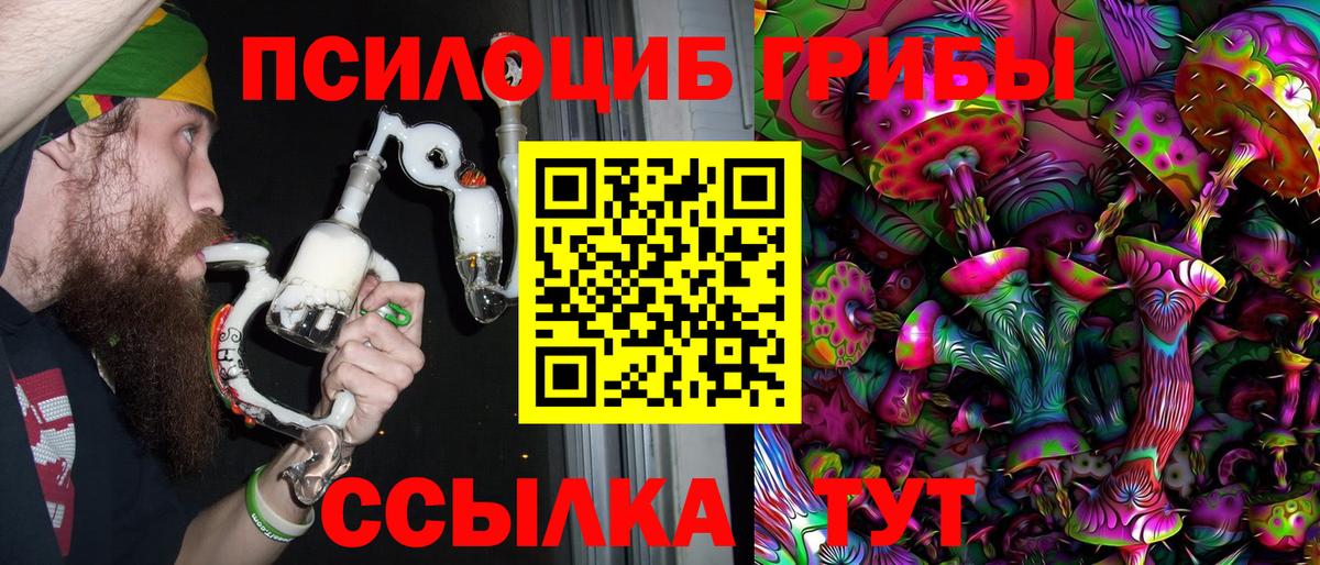 Псилоцибиновые грибы GOLDEN TEACHER Электросталь